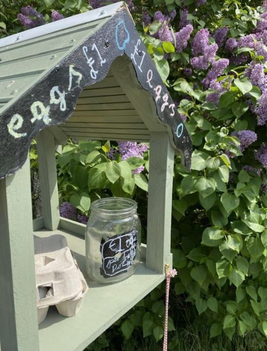 The Annex: 2 Bedroom Cottage, Countryside, Peaceful Getaway With Garden Easingwold Eksteriør bilde